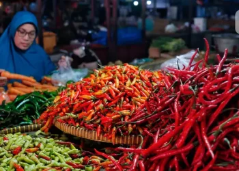 Harga Cabai Rawit Merah 22 Agustus 2026 Rp 70.450 per Kg