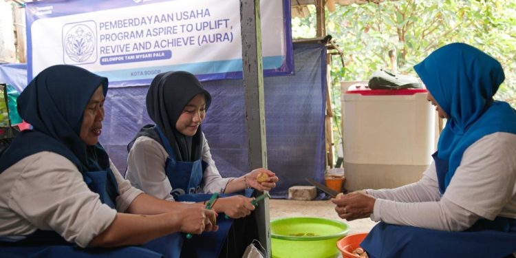 Daging Buah Pala Terbuang Disulap Jadi Cuan oleh KWT Bina Tani Mysari Berkat BRI Peduli